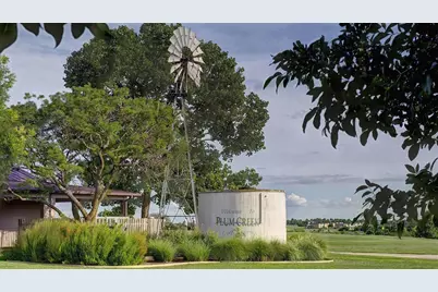 523 Prickly Poppy Loop, Kyle, TX 78640 - Photo 38