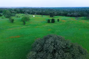 320 S Waterbuck Wy, Lampasas, TX 76550 - Photo 12