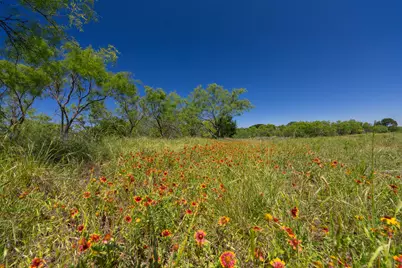 Tbd County Road 180 Rolling Pond Ranch Road, Purmela, TX 76566 - Photo 6