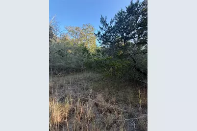 Lot 194 Kaelepulu Drive, Bastrop, TX 78602 - Photo 6