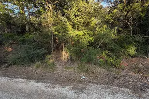 Lot 194 Kaelepulu Dr, Bastrop, TX 78602 - Photo 1