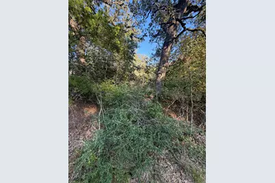 Lot 194 Kaelepulu Drive, Bastrop, TX 78602 - Photo 2