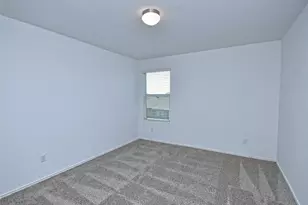 6520 Strelitzia Cove, Round Rock, TX 78665 - Photo 22