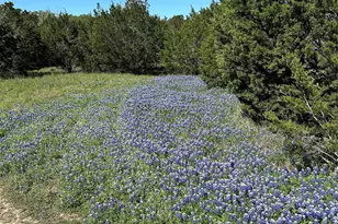 17 Heathrow Ln, Wimberley, TX 78676 - Photo 1