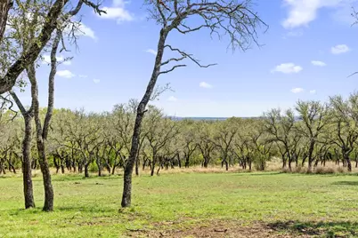 434 W Turner Court, Johnson City, TX 78636 - Photo 34