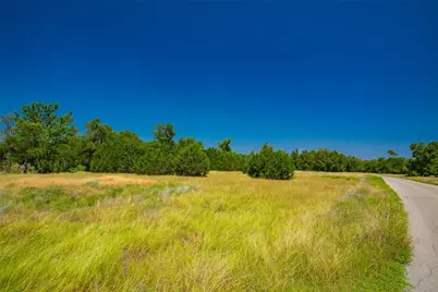 564 Bluff Springs Drive, Driftwood, TX 78619 - Photo 6