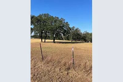 Tbd League Line Road, Paige, TX 78659 - Photo 8