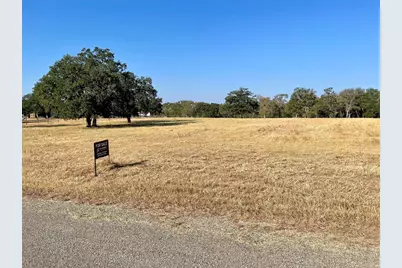 Tbd League Line Road, Paige, TX 78659 - Photo 6