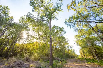 12424 Red Hill Road, Hearne, TX 77859 - Photo 10