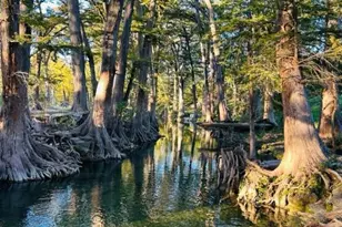 5322 State Hwy 16 N, Bandera, TX 78008 - Photo 24