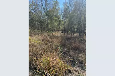 221 Kahana Lane, Bastrop, TX 78602 - Photo 4