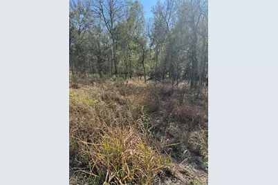 221 Kahana Lane, Bastrop, TX 78602 - Photo 4