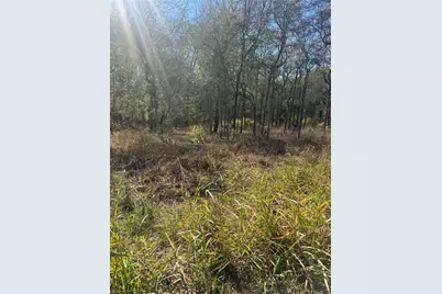 221 Kahana Lane, Bastrop, TX 78602 - Photo 1