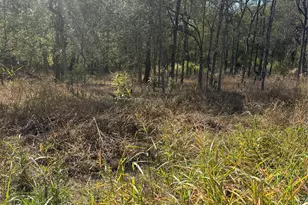 221 Kahana Ln, Bastrop, TX 78602 - Photo 1