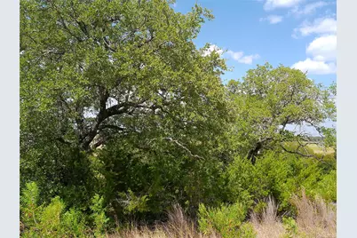 Lot 22 Serenity Drive, Bertram, TX 78605 - Photo 6
