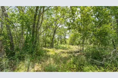 418-G County Road 405, Buckholts, TX 76518 - Photo 4