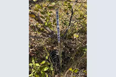 Lot 9D Foothill Road, Bastrop, TX 78602 - Photo 4