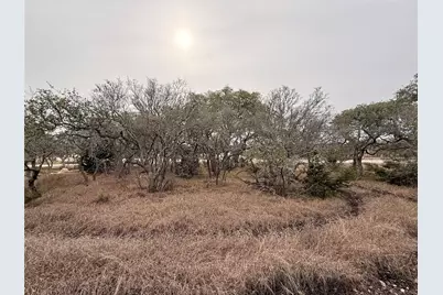 676 Annabelle Avenue, Bulverde, TX 78163 - Photo 4