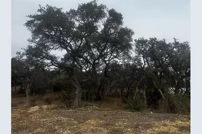 676 Annabelle Avenue, Bulverde, TX 78163 - Photo 6