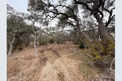 676 Annabelle Avenue, Bulverde, TX 78163 - Photo 2