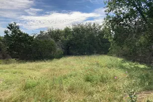 1050 Harmon Hills Rd, Dripping Springs, TX 78620 - Photo 22