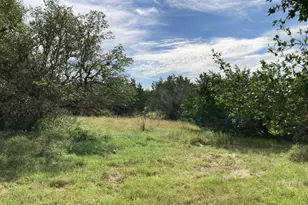 1050 Harmon Hills Rd, Dripping Springs, TX 78620 - Photo 28