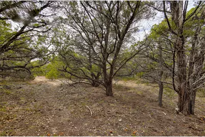 20607 Fawn Ridge Drive, Leander, TX 78645 - Photo 6