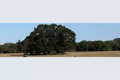 Lot 2 Cr 127, Ledbetter, TX 78946 - Photo 1