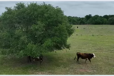 Lot 2 Cr 127, Ledbetter, TX 78946 - Photo 12