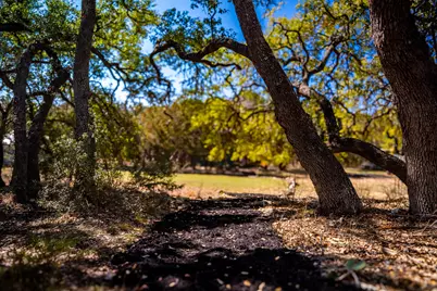 321 Lea Lane, Wimberley, TX 78676 - Photo 30