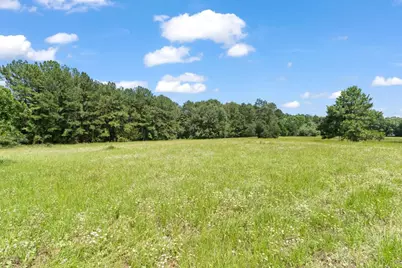 Tbd St Delight (Tract 1) Road, Paige, TX 78659 - Photo 4