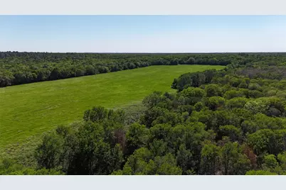 Tbd St Delight (Tract 1) Road, Paige, TX 78659 - Photo 10