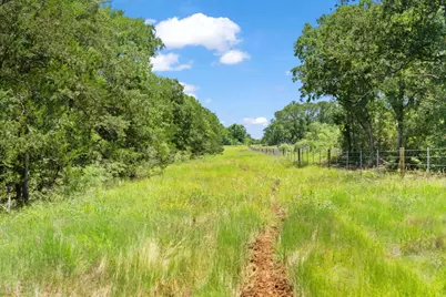 Tbd St Delight (Tract 1) Road, Paige, TX 78659 - Photo 2