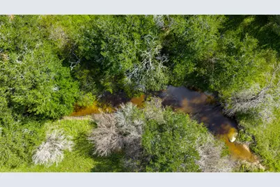 000 County Road 180 Road, Purmela, TX 76566 - Photo 6