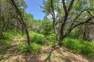 6702 Cat Creek Trail, Austin, TX 78731 - Photo 32