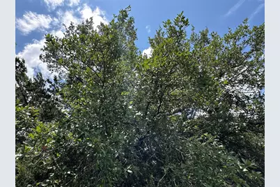 109 Cowal Drive N, Spicewood, TX 78669 - Photo 20