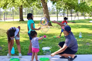 125 Pinyon Pne Dr, Bastrop, TX 78602 - Photo 12