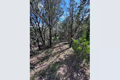 417 Prochnow Road, Dripping Springs, TX 78620 - Photo 18