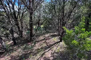 417 Prochnow Rd, Dripping Springs, TX 78620 - Photo 18