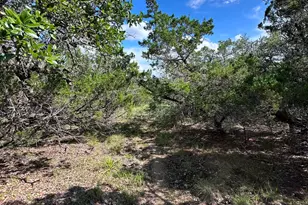 417 Prochnow Rd, Dripping Springs, TX 78620 - Photo 20