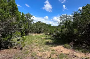 417 Prochnow Rd, Dripping Springs, TX 78620 - Photo 14