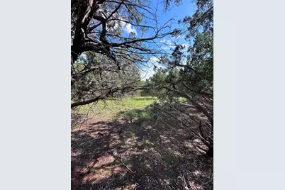 417 Prochnow Road, Dripping Springs, TX 78620 - Photo 22