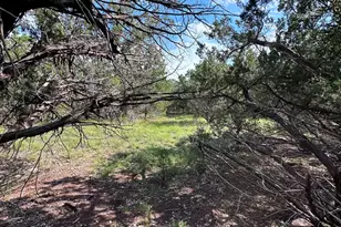 417 Prochnow Rd, Dripping Springs, TX 78620 - Photo 22
