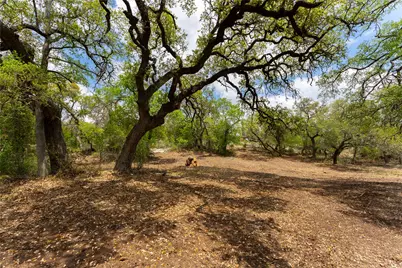 523 Dario Drive, Dripping Springs, TX 78620 - Photo 4