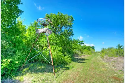 0000 County Road 463, Elgin, TX 78621 - Photo 30