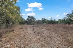 320 Pope Bend S, Cedar Creek, TX 78612 - Photo 36