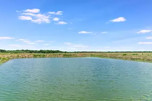 14325 FM619, Coupland, TX 78615 - Photo 16