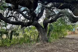 305 N Hall St, Richland Springs, TX 78643 - Photo 36