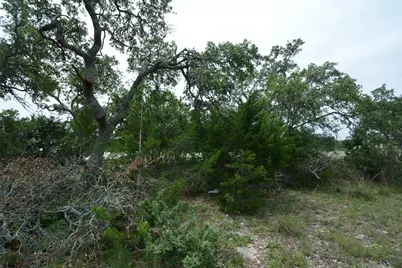 134 W Pat Dolan, Blanco, TX 78606 - Photo 4