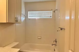 326 Wild Plum, San Marcos, TX 78666 - Photo 10